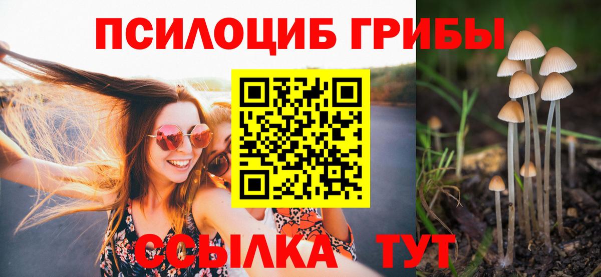 Псилоцибиновые грибы GOLDEN TEACHER Губкинский